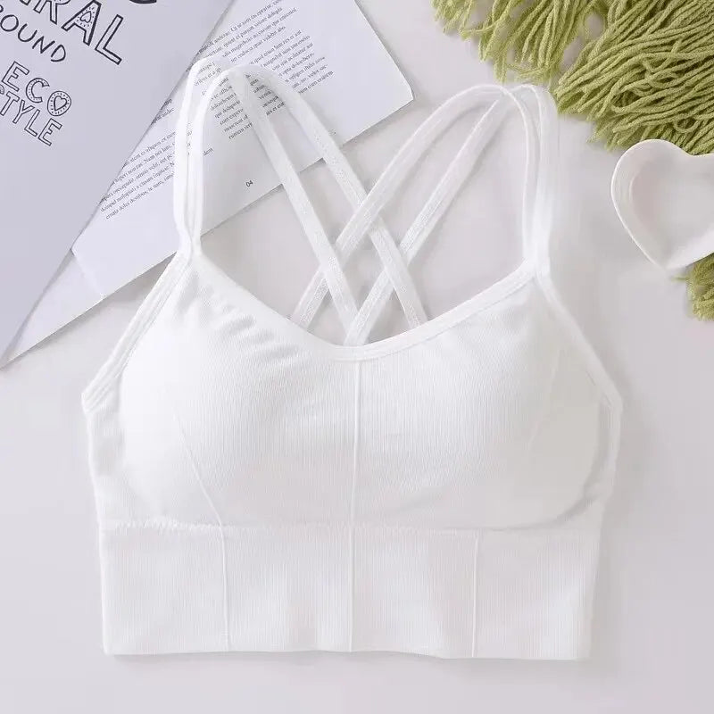 Push Up Sports Bra